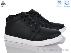 STILLI Group LP60-1 шкіра фото