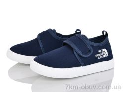 Blue Rama W99-5 фото