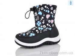 M&L  Alex13 520-1 фото