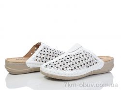 ARZO A50-36 фото