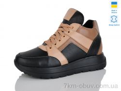 Carolina 2040-5 фото