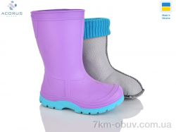 Acorus CD2 фіолет фото