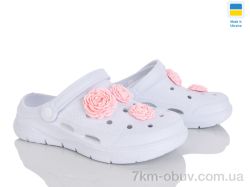 Golden Lion 411 білий фото