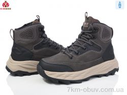 Солнце-Kimbo-o P24164-4D фото