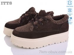 ITTS H2025-41 фото