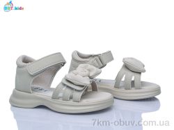 BBT L866-2-3 фото