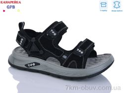 GFB-Канарейка R823-1 фото