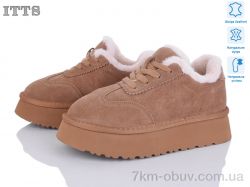 ITTS F261-20 фото