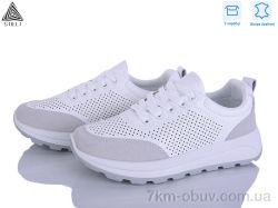 STILLI Group XG120-2 шкіра фото