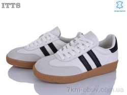 ITTS AQ003-D фото