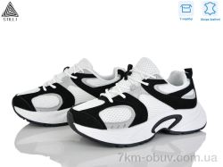 STILLI Group T40-4 шкіра фото