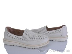 Lion-Lu 2024-37 фото