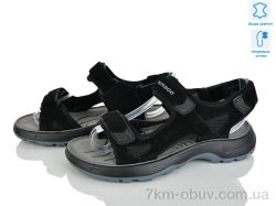 KIMBOO T69-4A фото