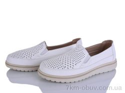 Lion-Lu 2024-58 фото