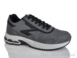 HOROSO-UFO V301-2D фото