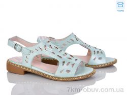 Victoria C18-6 фото