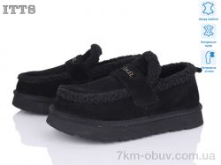 ITTS Q291-1 фото