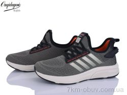 Dageni A2526-24 фото