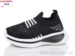 GFB-Канарейка Z6030-1 фото