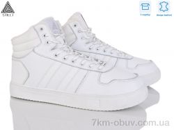 STILLI Group CX1700-2 шкіра фото