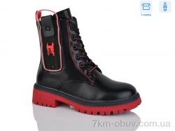 SANLIN 61-6-1307DY фото