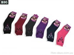 BIG 8313 mix фото