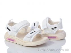 Мир 3646-C7726-7 фото