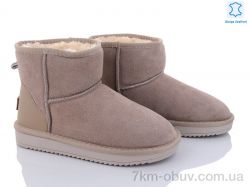 ITTS 5870-13 фото