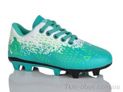 ASHIGULI C20-5 фото