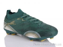 ASHIGULI 508S фото