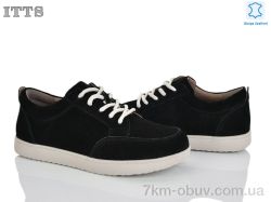 ITTS CK13-2 фото