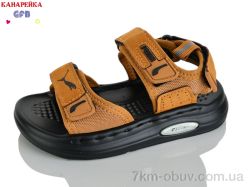 GFB-Канарейка T66-4 фото