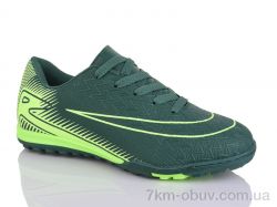 ASHIGULI 523S фото