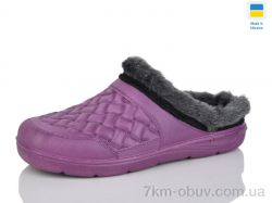 SANLIN 2 L8 бузок фото