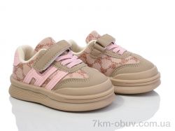 ASHIGULI 2022-2 фото