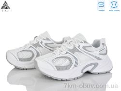 STILLI Group T30-2 шкіра фото