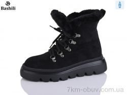 Башили E253-20 фото