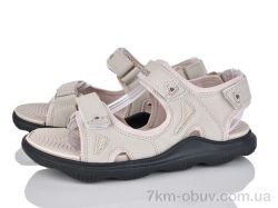 Svit A208-5 фото