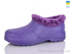 SANLIN Ж65 бузковий фото