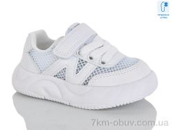 Lilin C62-66 фото