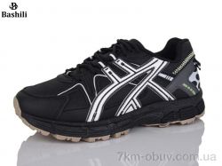 Башили H6501-251 фото