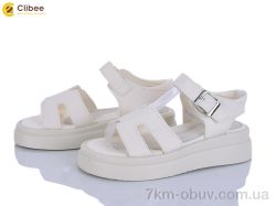 Clibee ZC2280-4 фото