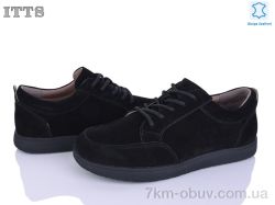 ITTS CK13-1 фото