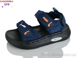 GFB-Канарейка T66-2 фото