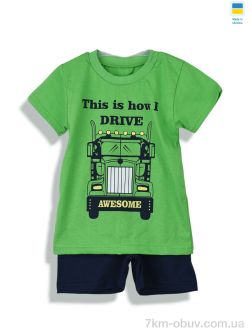 Kir15 221281 зелений фото