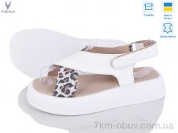 Viscala 23211 б.ш.+лео з. фото