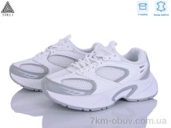 STILLI Group T50-4 шкіра фото