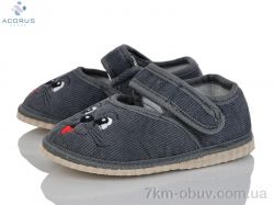 Acorus Глазки сірий фото