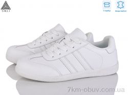 STILLI Group RL10-1 шкіра фото