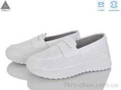 STILLI Group P50-1 шкіра фото